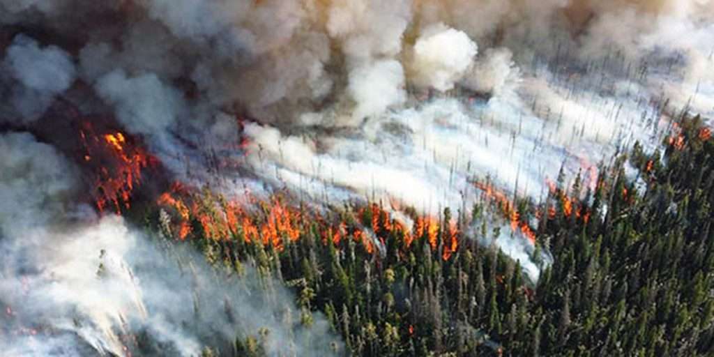 Protecting your home's air quality from wildfire smoke